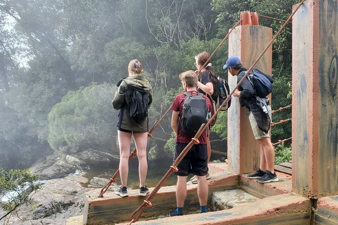 Bach Ma National Park Trekking Tour 1 Day From Hue city, Vietnam - Pace, Fitness, and Safety on Uneven Trails