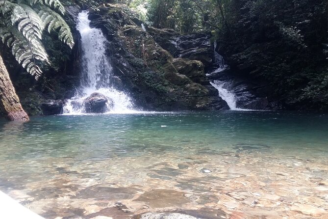 Bach Ma National Park Trekking Tour 1 Day From Hue city, Vietnam - What You Really Get for $38.88: Value Breakdown