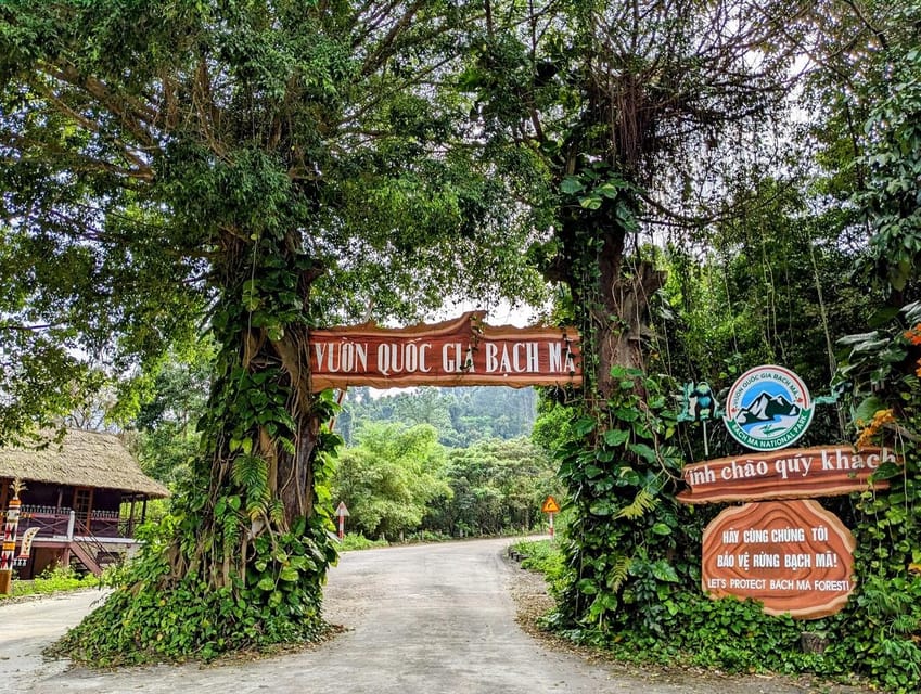 Bach Ma National Park Trekking Tour From Hue/Da Nang/Hoi An - How the Bach Ma Day Trip Works From Hue, Da Nang, and Hoi An