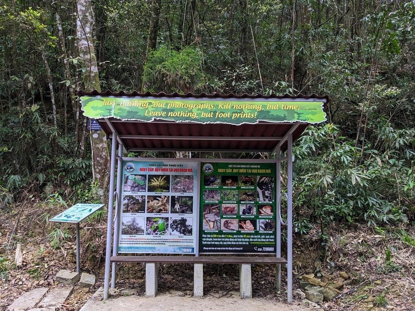 Bach Ma National Park Trekking Tour From Hue/Da Nang/Hoi An - Pace, Group Size, and What “Guided” Really Means Here