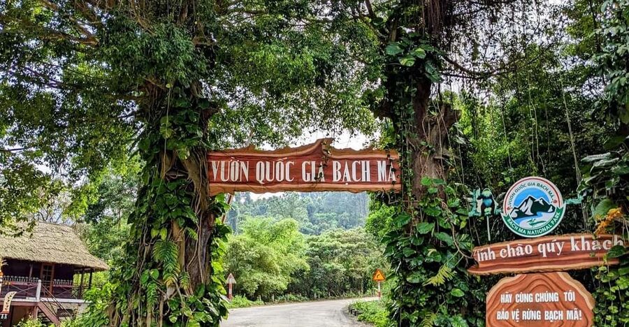 Bach Ma National Park Trekking Tour From Hue/Da Nang/Hoi An - Pickup Times and the Real Drive Time You Should Expect