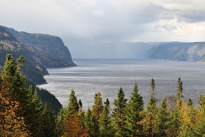 Back Country of the Fjord and the National Park - A short port day, planned like locals do it