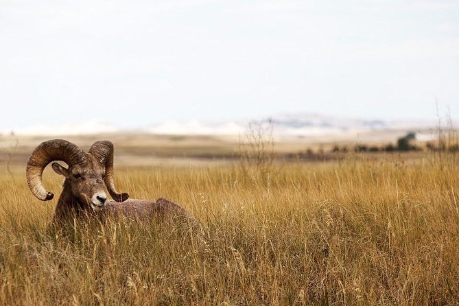 Badlands National Park by Bicycle - Private - Price and value: what $375 buys you here