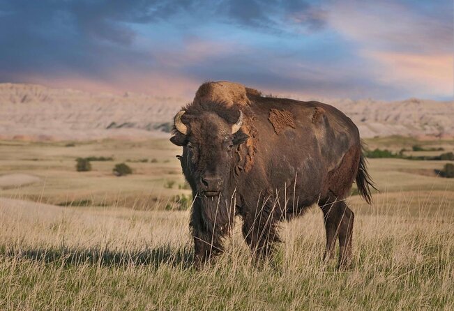 Badlands National Park Self-Guided Driving Audio Tour - Key things to know before you hit play