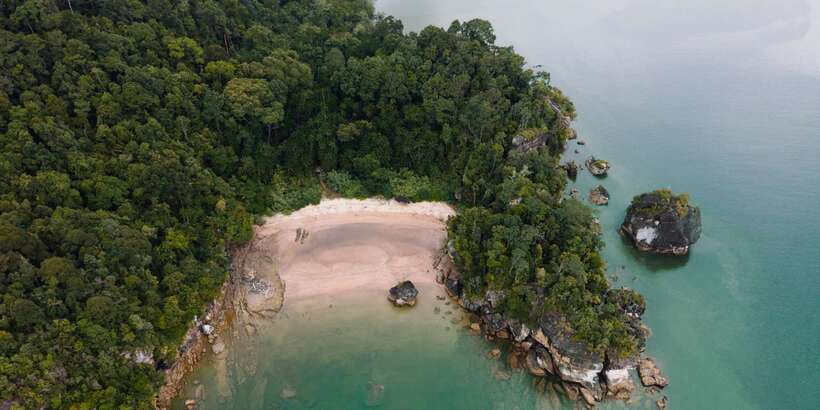 Bako National Park - Price and Value: What $179 Covers and What It Doesn’t