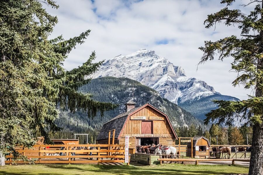 Banff National Park: 1-Hour Bow River Horseback Ride - The Bow River ride that fits Banff time: short, scenic, and doable