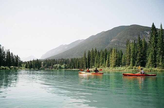 Banff National Park- Double Kayak Experience - Guides, safety, and the beaver dam surprise