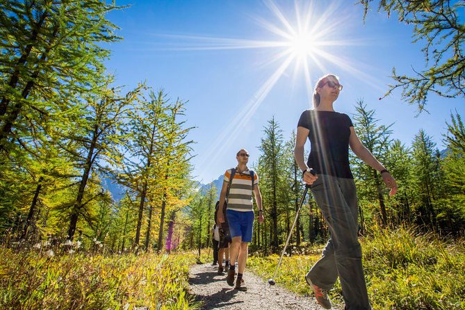 Banff National Park Guided Hike with Lunch - Plain of Six Glaciers: Lake Louise and a teahouse with real views