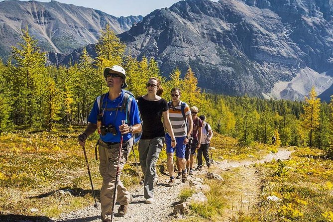 Banff National Park Guided Hike with Lunch - The four trail options: pick your kind of Banff day