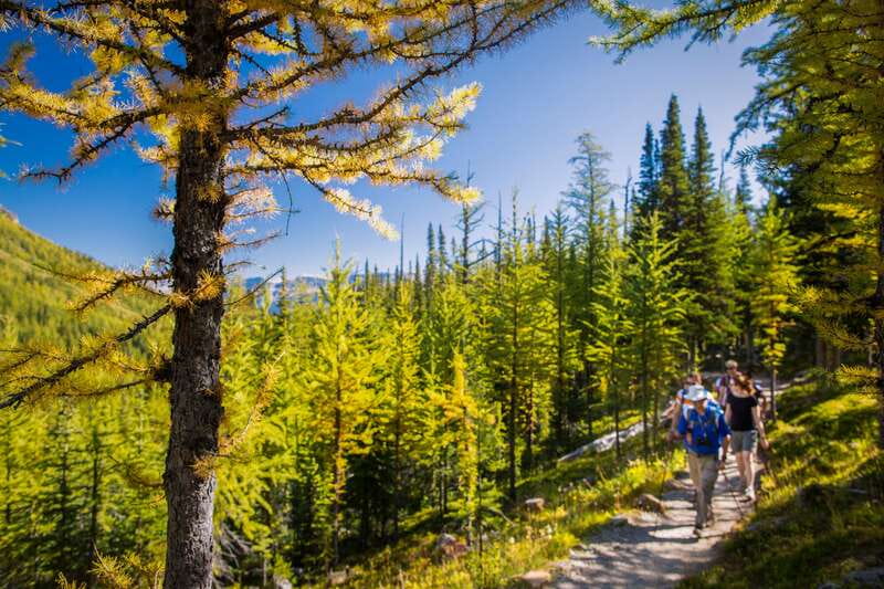 Banff National Park: Guided Signature Hikes with Lunch - Key takeaways before you pick a route