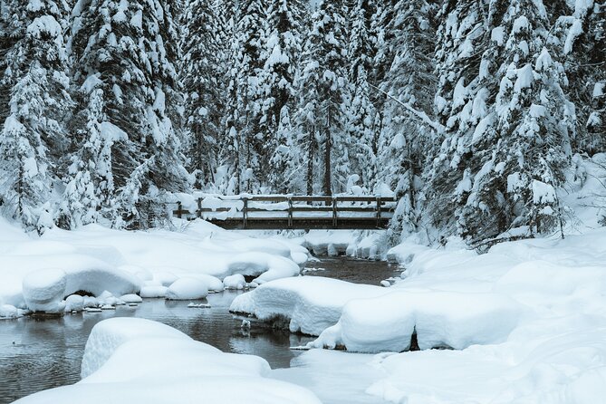 Banff National Park & Lake Louise FULL DAY PRIVATE TOUR - Bow Falls and Surprise Corner for quick, classic Banff photos
