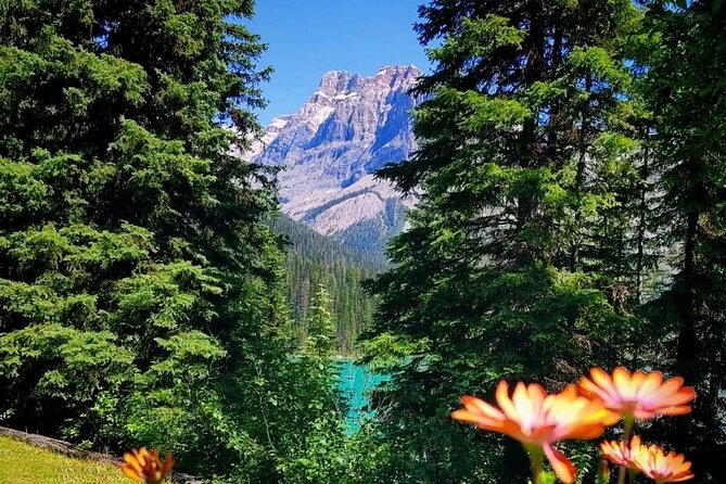 Banff National Park Moraine Lake and Lake Louise Explorer Tour - The van, the guide, and the pacing: comfort without a full lecture