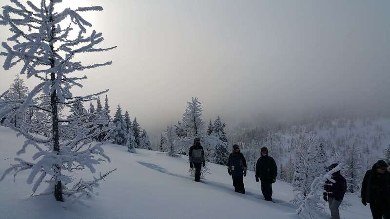 Banff National Park: Sunshine Meadows Snowshoeing Experience - Key things I’d note before you go
