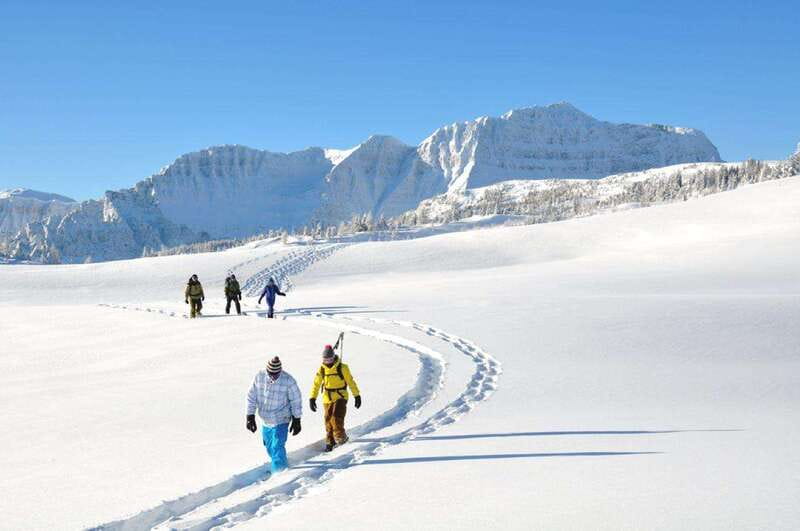 Banff National Park: Sunshine Meadows Snowshoeing Experience - My Booking Advice: When to Say Yes (and When to Pass)