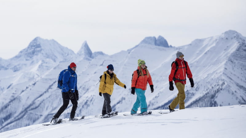 Banff National Park: Sunshine Meadows Snowshoeing Experience - Sunshine Village Comforts: Hot Chocolate, Cookies, and Hand-Warmers on Snow
