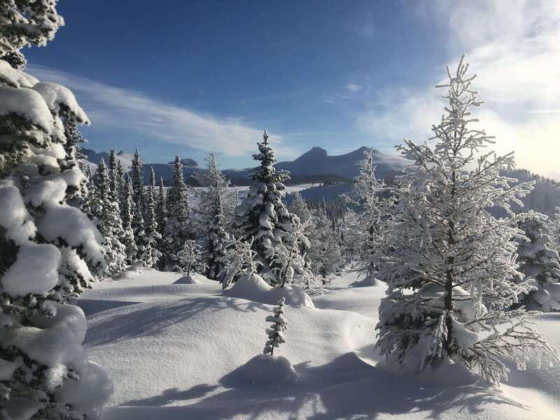 Banff National Park: Sunshine Meadows Snowshoeing Experience - Price and Value: Is $102 Worth a 4-Hour Banff Snowshoe?