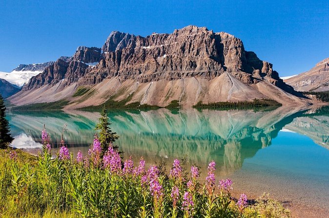 Banff National Park Tour with a Small Group - Price and value: what you’re really paying for