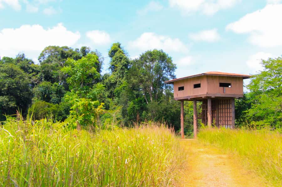 Bangkok: Private & Customizable Khao Yai National Park Tour - Haew Narok Waterfall: more drama, still very doable
