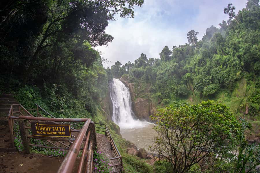 Bangkok: Private & Customizable Khao Yai National Park Tour - Khao Yai wildlife viewing: the part you can’t fully control