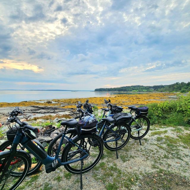 Bar Harbor: Acadia National Park Carriage Roads Ebike Tour - Hull’s Cove Start: The 10 a.m. Lesson, Helmet On, Then Paradise Hill