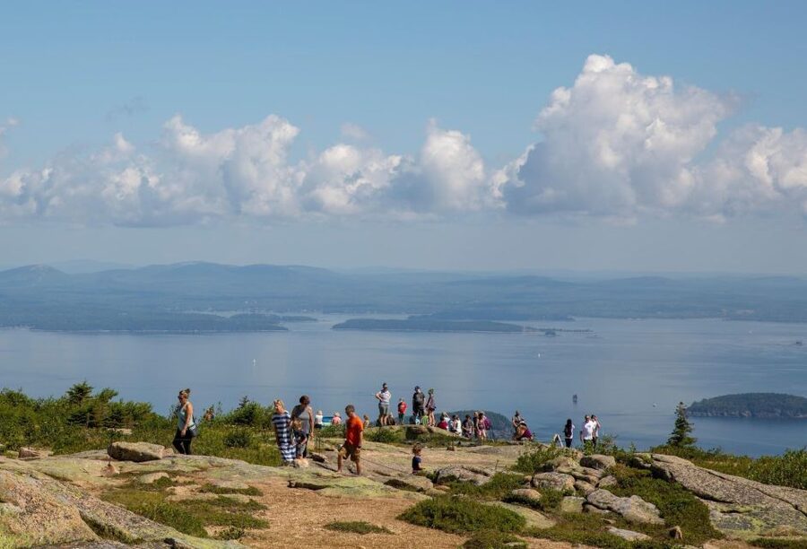 Bar Harbor: Acadia National Park Customizable Private Tour - Otter Cliffs: wildlife spotting with a point of view