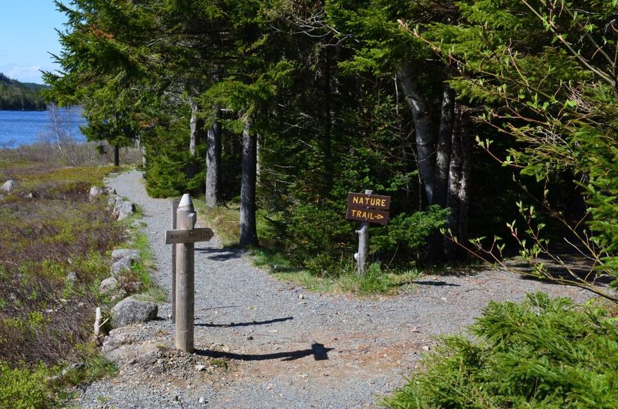 Bar Harbor: Acadia National Park Private Tour with Lunch - Private Pickup and Park Loop Road: a calmer way to do Acadia