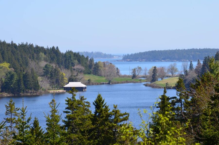 Bar Harbor: Acadia National Park Private Tour with Lunch - Seawall and western-side trail options: choose your energy