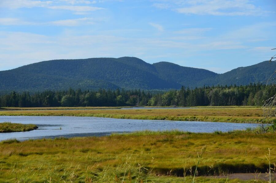 Bar Harbor: Acadia National Park Private Tour with Lunch - Price and logistics: what you’re really paying for