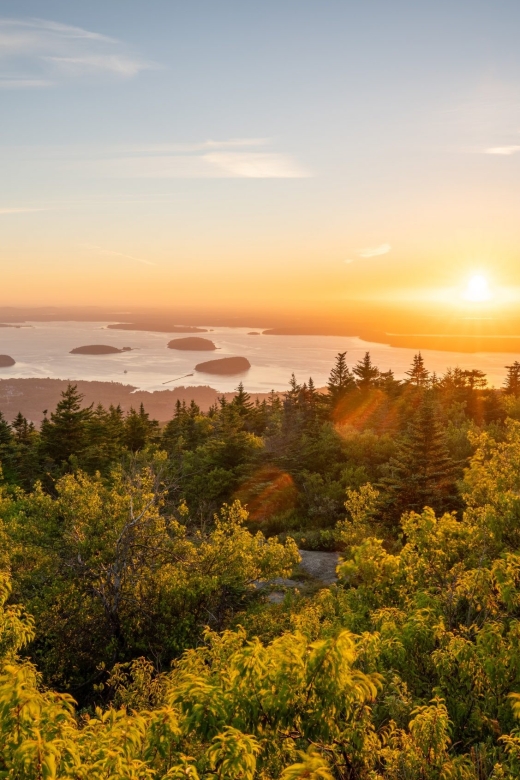 Bar Harbor: Acadia National Park Small-Group Guided Tour - Snacks, Water Refills, and the Packed Lunch Reality
