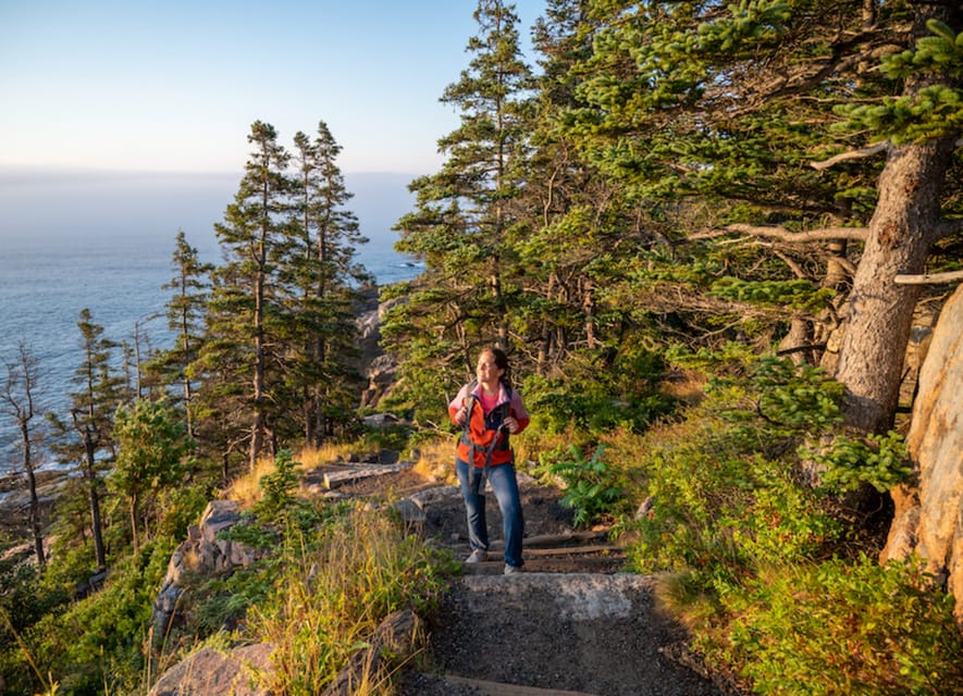 Bar Harbor: Acadia National Park Tour with Lobster Roll - Otter Cliff overlooks: making panoramic views work in real life
