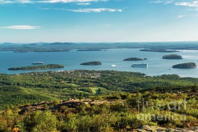 Bar Harbor: Acadia National Park Tour with Lobster Roll - Thunder Hole’s wave show: where sound becomes part of the view