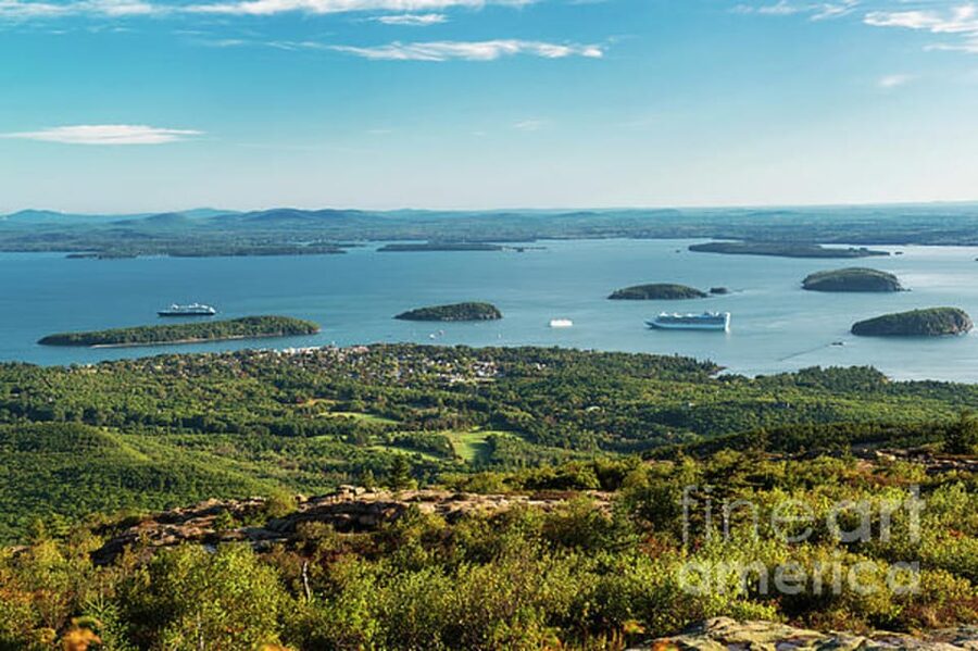 Bar Harbor: Acadia National Park Tour with Lobster Roll - Thunder Hole’s wave show: where sound becomes part of the view