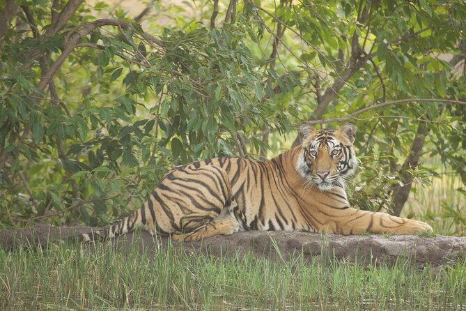 Bardia National Park package with Tiger Tops Karnali lodge - Key highlights at a glance
