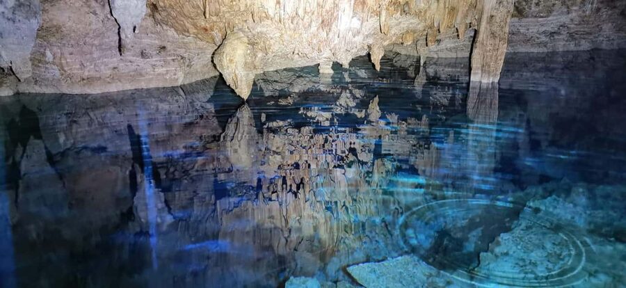 Bayahibe: National Park Jungle Walk & Snorkeling in Cenotes - Key highlights you’ll remember after the hike