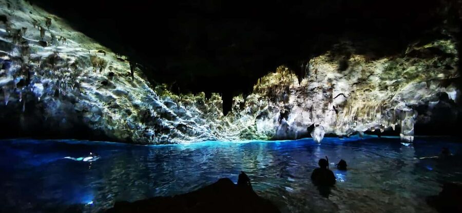 Bayahibe: National Park Jungle Walk & Snorkeling in Cenotes - Cotubanamá jungle walk: short, hot, and actually worth it