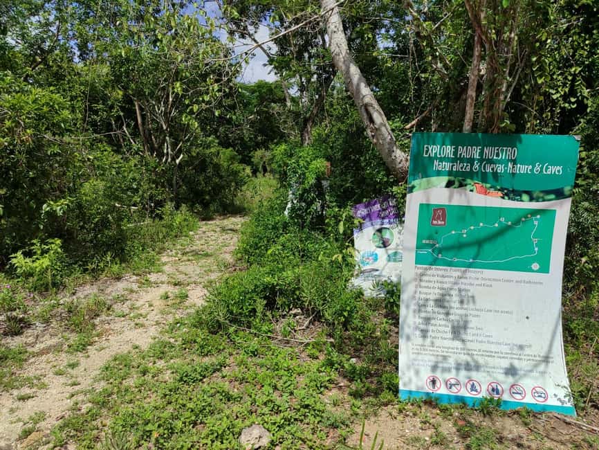Bayahibe: National Park Jungle Walk & Snorkeling in Cenotes - Entering the cave: flashlight steps and calm cave rules