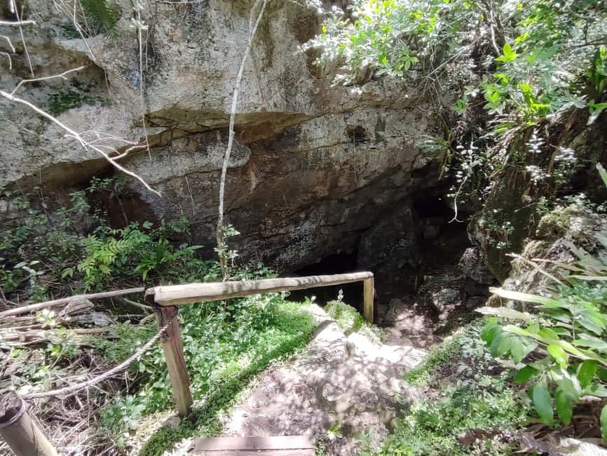 Bayahibe: National Park Jungle Walk & Snorkeling in Cenotes - Price and value: what $55 really buys you