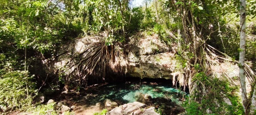 Bayahibe: National Park Jungle Walk & Snorkeling in Cenotes - Who should book this (and who should skip it)