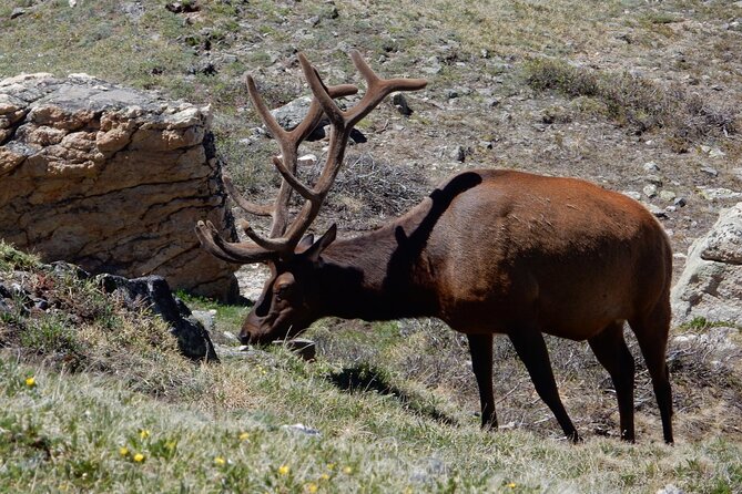 Bear Lake Road Rocky Mountain National Park Private Tour - Why the guide makes the difference: more than a route