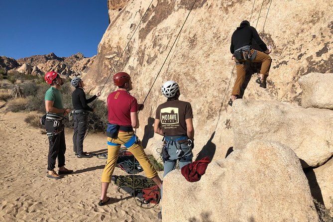 Beginner Group Rock Climbing in Joshua Tree National Park - Who This Climb Is Best For (and Who Might Reconsider)