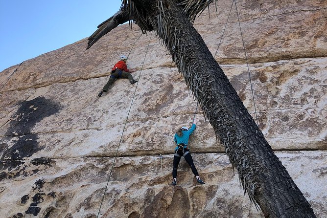 Beginner Group Rock Climbing in Joshua Tree National Park - Meeting at the Joshua Tree Visitor Center: Timing, Group Size, and How the Day Moves