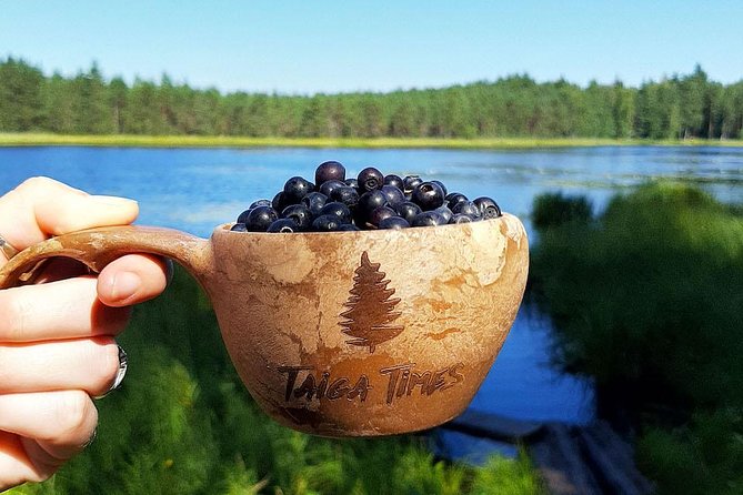 Berry Picking in a National Park - Why Liesjärvi National Park makes berry picking feel real