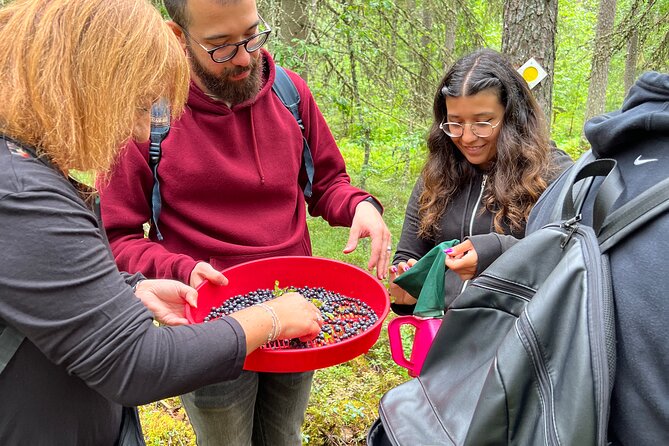 Berry Picking in a National Park - Price and logistics: is $186.64 worth it?