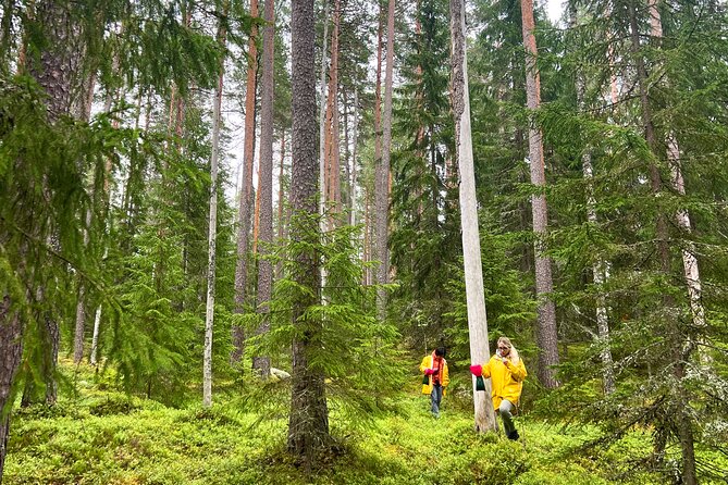 Berry Picking in a National Park - Sustainability that shows up in real choices