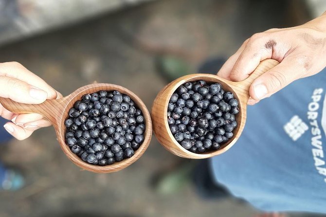 Berry Picking in a National Park - Who this tour is best for (and who might skip it)