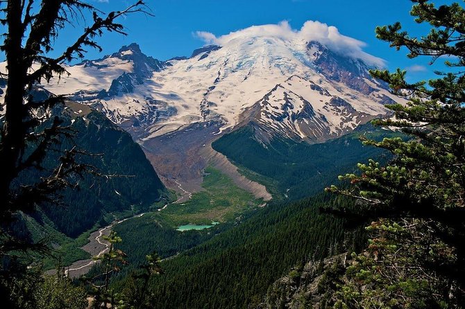 Best of Mount Rainier National Park from Seattle: All-Inclusive Small-Group Tour - Christine Falls and Narada Falls: classic water views without a day-long grind