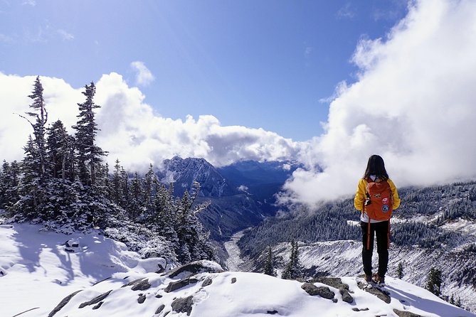 Best of Mount Rainier National Park from Seattle: All-Inclusive Small-Group Tour - Trail-of-the-Shadows and Twin Firs: old-growth texture you’ll remember