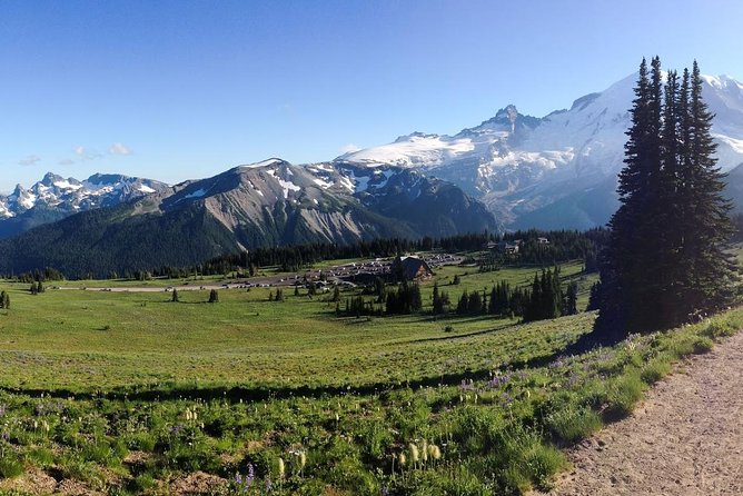 Best of Mount Rainier National Park from Seattle: All-Inclusive Small-Group Tour - How hard is this really? Pacing, footwear, and weather reality checks