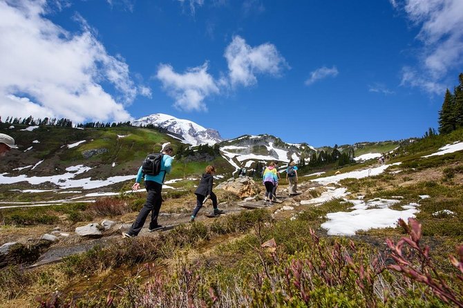 Best of Mount Rainier National Park from Seattle: All-Inclusive Small-Group Tour - Snacks, picnic lunch, and what $344 buys you in real value