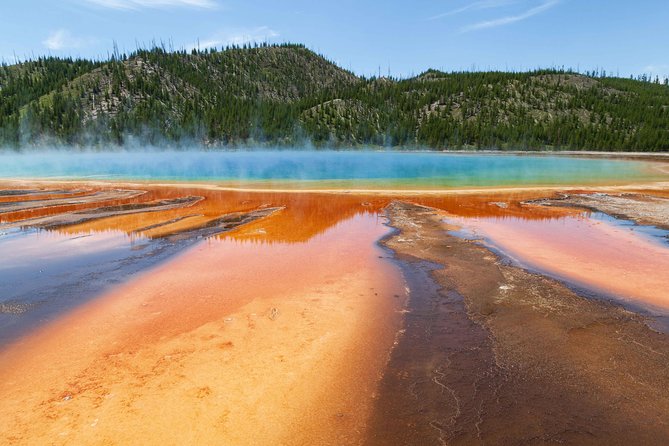Best of Yellowstone - Guided National Park Safari Tour - Key highlights worth planning around